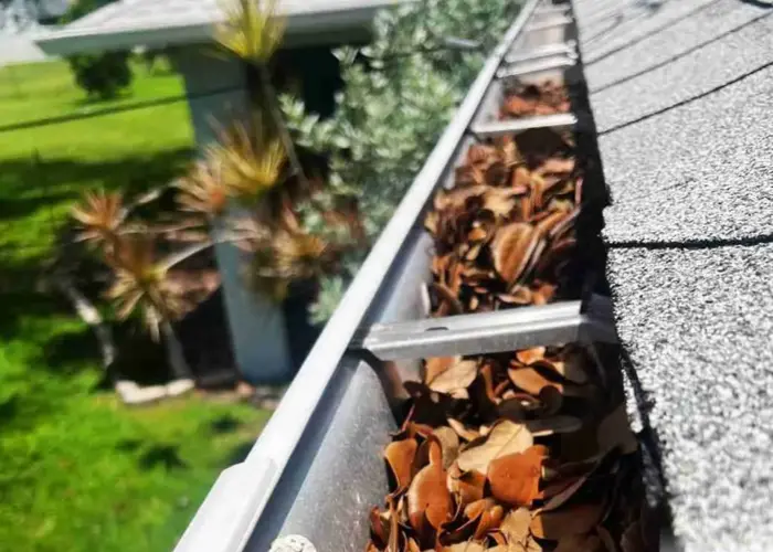 Roswell gutter cleaning home page